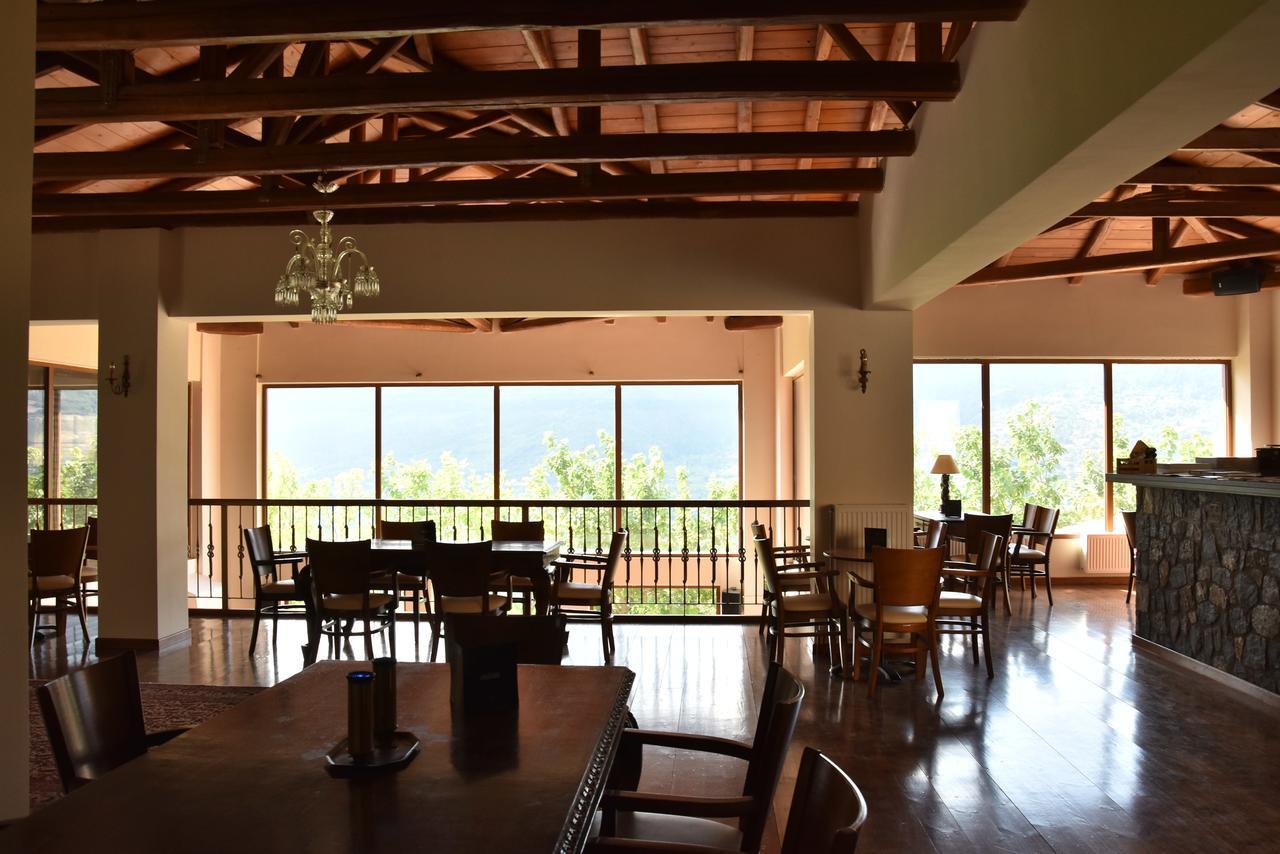 Olvios Hotel Gkoura Exteriér fotografie